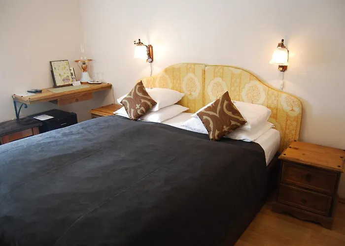 Hansalinn Παρνού